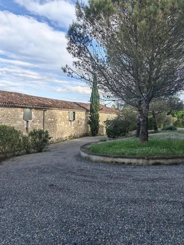 Domaine De Pourrouquet - Chambres D'Hotes Vic-Fezensac
